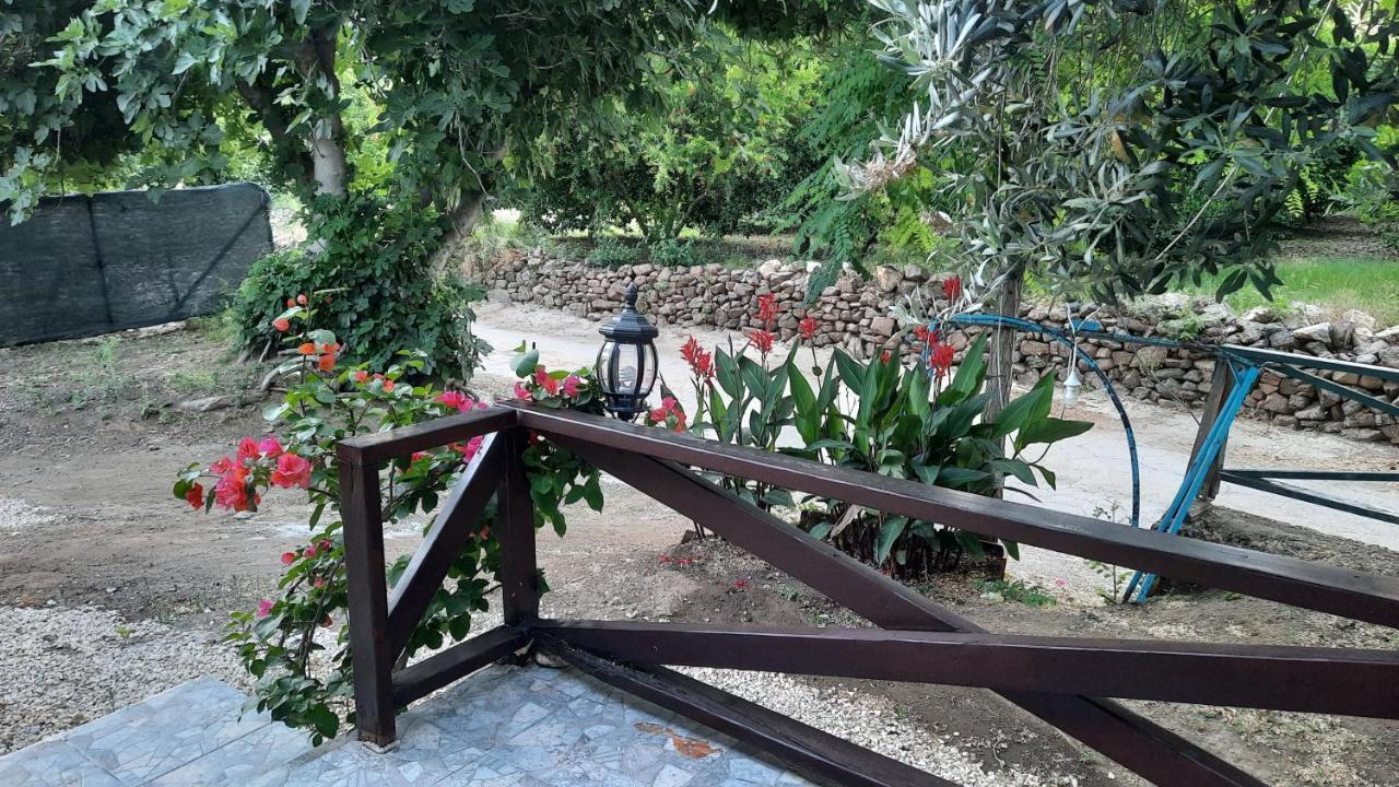 Teo Hotel&Pansion Çıralı 外观 照片